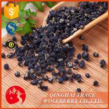 Heißer Verkauf beste Qualität zertifizierte organische schwarze Wolfberry